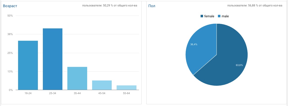 возраст и пол аудитории