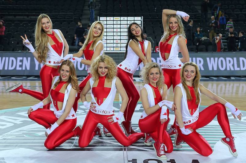 red foxes