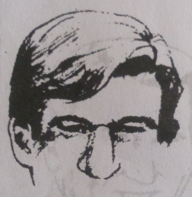 горизонтальная складка на переносице