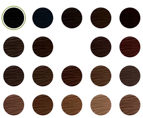 garnier color
