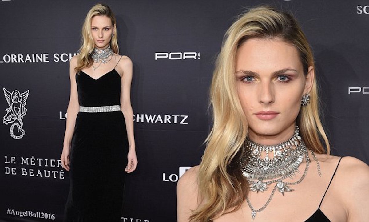 popular transgenders Andreja Pejic