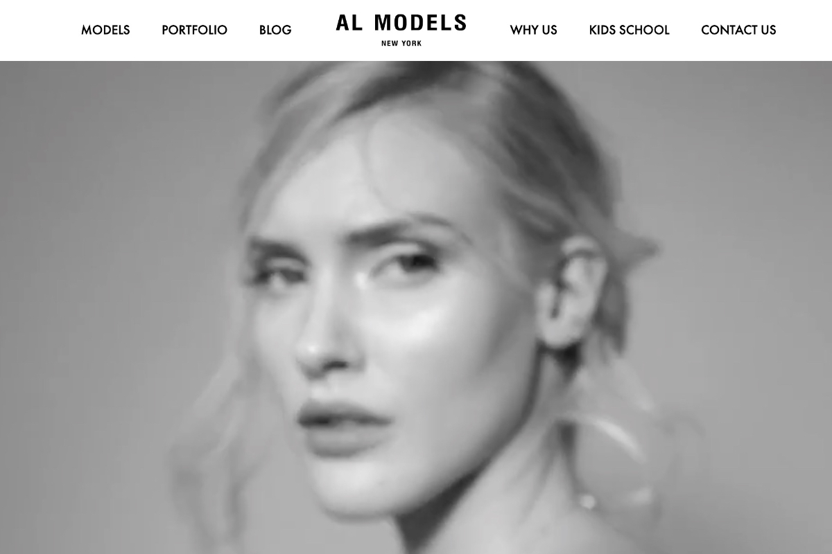 AL Model Management